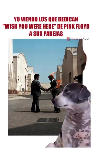 Instagram post from progjazz_org. This post is in position 2.