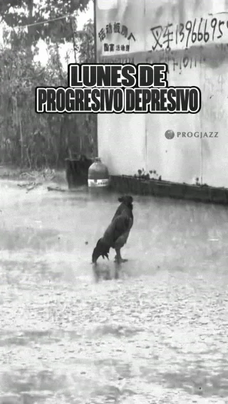 Instagram post from progjazz_org. This post is in position 4.