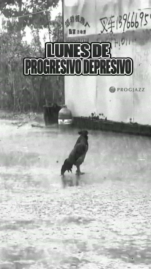 Instagram post from progjazz_org. This post is in position 3.