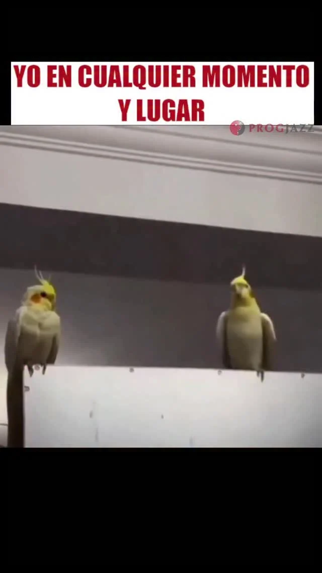 Instagram post from progjazz_org. This post is in position 3.